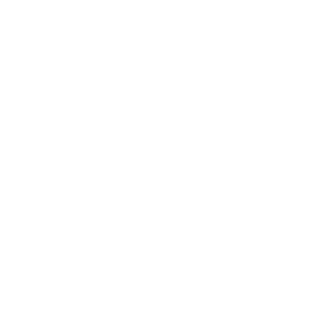 AA Garage Acocella Logo